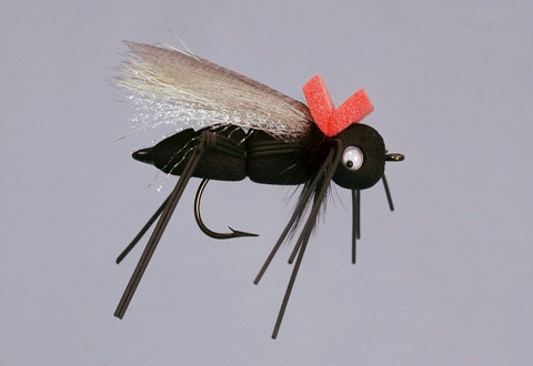 Rainys Ultimate Mormon Cricket Rainys Ultimate Mormon Cricket